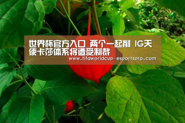 世界杯官方入口_两个一起削 IG天使卡莎体系将遭受制裁(图4) 世界杯体育APP
