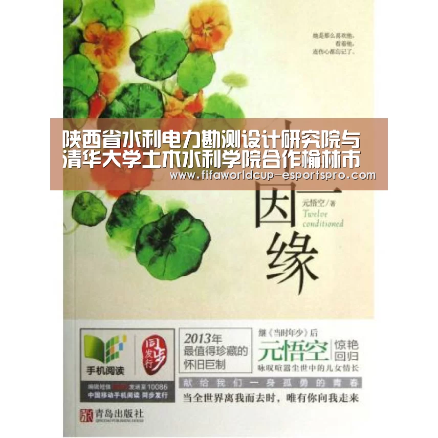 陕西省水利电力勘测设计研究院与清华大学土木水利学院合作榆林市无定河全线综合整治规划景观专题|世界杯热门赛事(图2) 世界杯体育APP