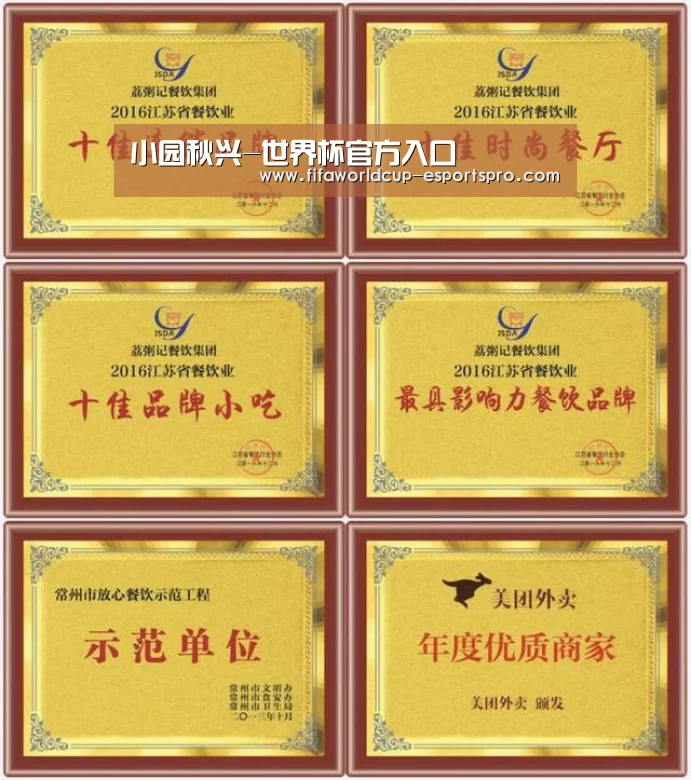 世界杯体育APP