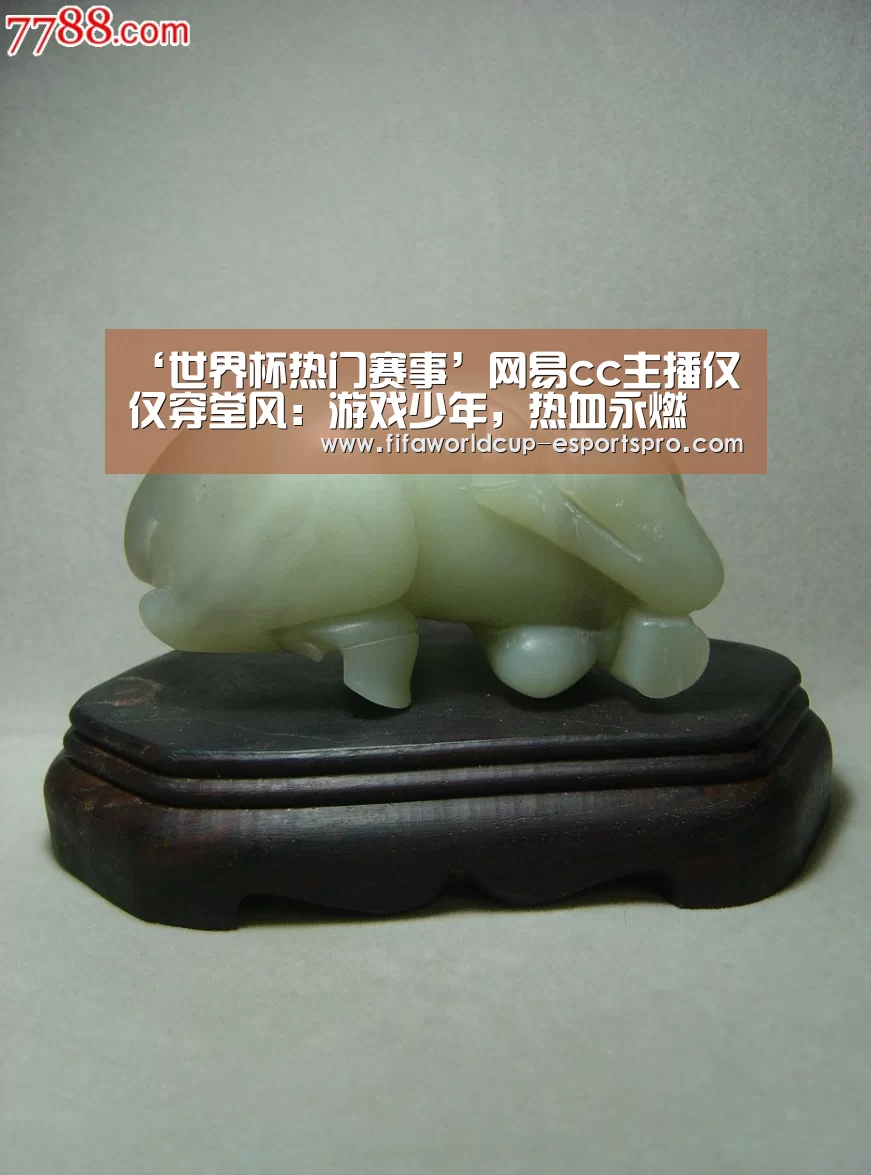 世界杯官方入口