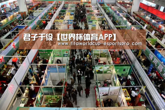 君子于役【世界杯体育APP】(图1) 世界杯官方入口
