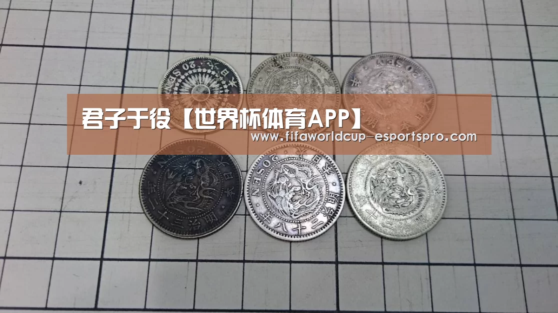 君子于役【世界杯体育APP】(图2) 世界杯竞猜