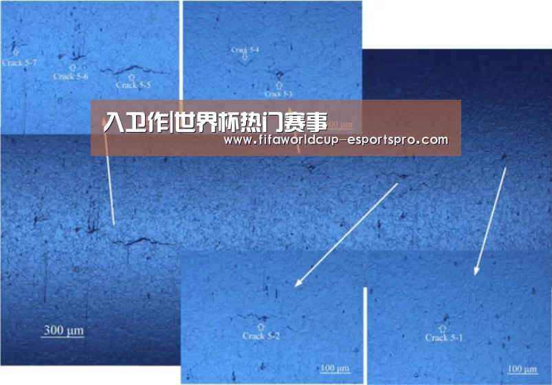 入卫作|世界杯热门赛事(图2) 世界杯体育APP