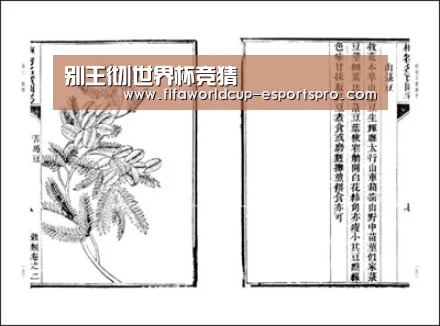 别王彻|世界杯竞猜(图1) 世界杯竞猜